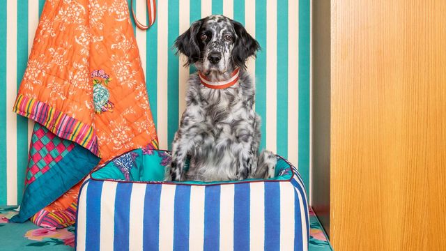 Objets déco, meubles et inspirations : nos coups de cœur du moment