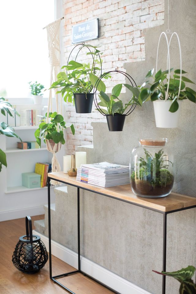 Suspendre des plantes d'intérieur permet notamment de jouer avec la hauteur sous plafond. Cache-pot à suspendre Lombok Coton et corde, Naturel et noir, d15 x 65cm, existe en d18cm. Prix indicatif : 9,99 euros. Philodendron hastatum "Silver Sword", pot d12cm. Prix indicatif : 14,99 euros. Pot à suspendre Kenzo, Métal (noir ou blanc), 28 x 13 x 36cm, existe en 2 tailles. Prix indicatif : 10,95 euros. Support de plante macramé, Coton et bois, H130cm, blanc cassé. Prix indicatif : 15,50 euros / Pilea peperomoides, pot d15cm, H30cm. Prix indicatif : 25,99 euros. botanic®.