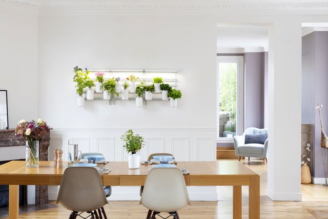 Créer son potager intérieur est d'autant plus satisfaisant que l'on change notre façon de consommer.3 potagers d'intérieur Modulo, 149,95 euros / unité. Capsules de fleurs, salades et aromates, de 2,95 euros à 6,95 euros / unité. Prêt à Pousser.
