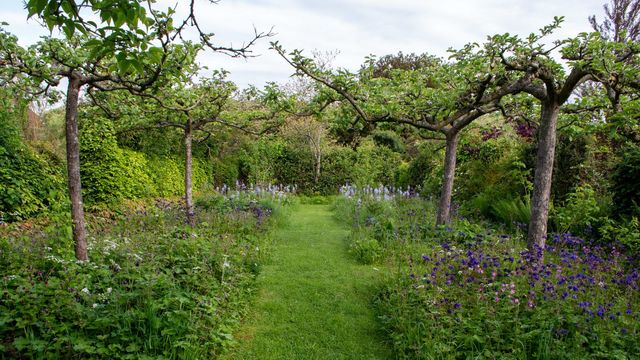 Les différents styles de jardins expliqués : avantages, plantes et inspirations
-
En photo : choisir un type de jardin peut donner un fil conducteur à l'élaboration d'un espace extérieur, cependant il peut aussi être hybride : la liberté créative avant tout !