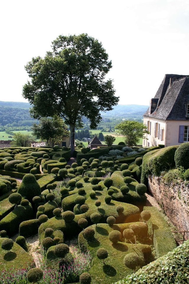 L'art topiaire une composante fréquente du type français 'jardin à la française'.