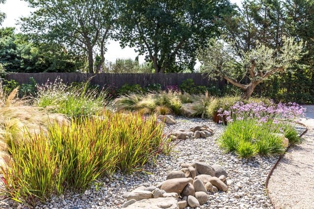 Le fait d'avoir des massifs aux besoins identiques simplifie l'entretien et permet un bon développement des plantes. Ici des Imperatas (Imperata cylindrica 'Red Baron') et des Tulbagines (Tulbaghia violacea), entre autres (un projet signé Morvant&Moingeon).