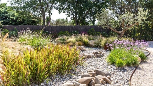 Le secret d'un jardin magnifique sans efforts : conseils d'experts