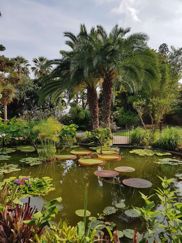 La présence d'eau est indispensable dans tous les jardins, de styles différents.