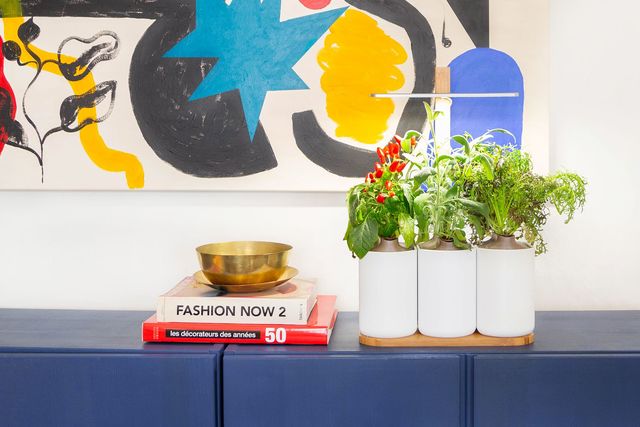 Faire pousser en intérieur des mini légumes comme ces poivrons est désormais possible ! Potager d'intérieur Lilo à 99,95 euros. Capsules de piments, sauge et moutarde, de 5,95 euros à 6,95 euros / unité. Prêt à Pousser.