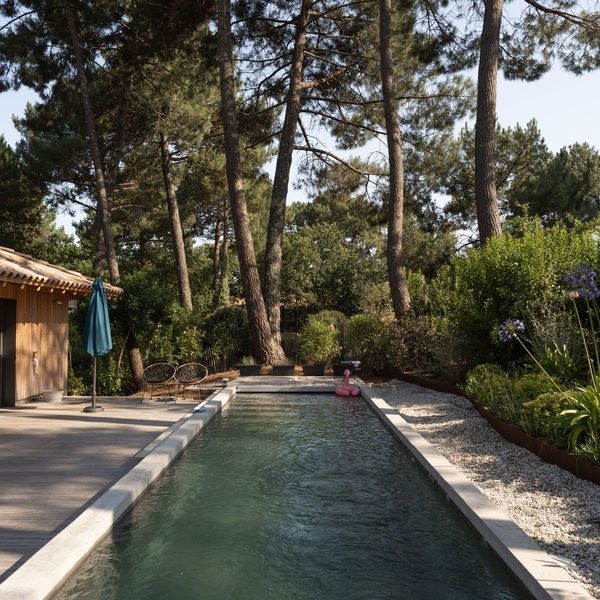 Naturelle, la piscine en béton joue avec les reflets des arbres