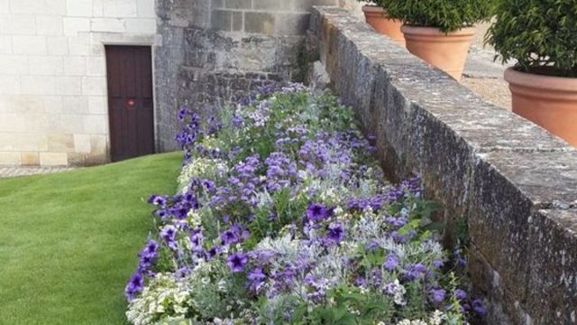 Découvrez 10 jardins fleuris inspirants pour transformer votre terrain