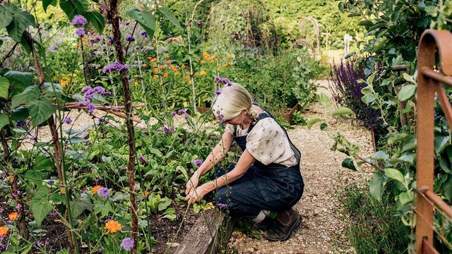 15 gestes simples pour favoriser la biodiversité au jardin