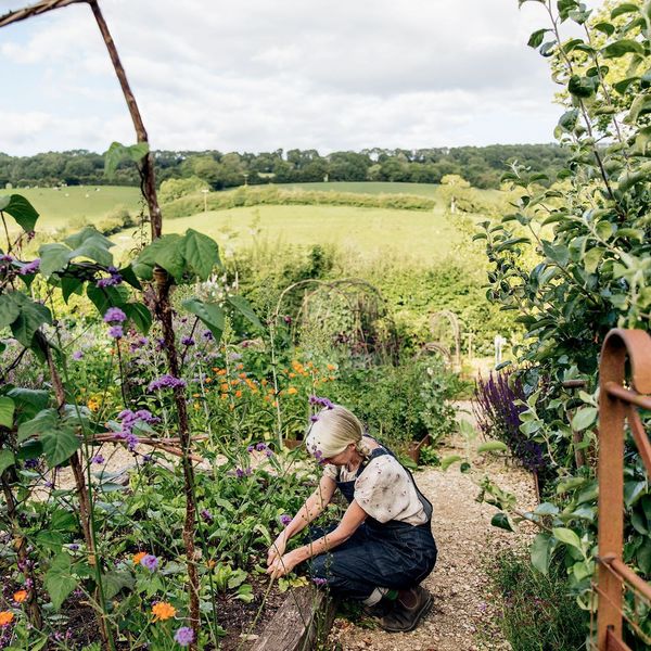 Jardiner au quotidien avec des gestes naturels