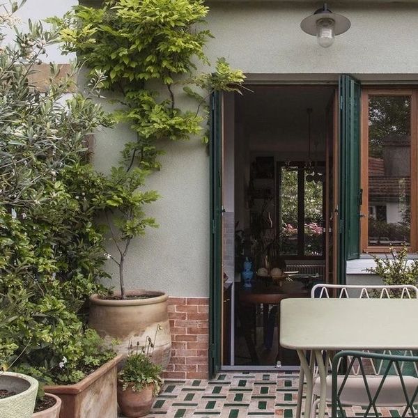 Faire grimper une glycine ou autre plante luxuriante sur les murs